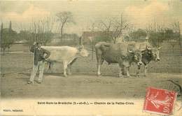 SAINT NOM LA BRETECHE - Chemin De La Petite Croix, Attelage De Boeufs (carte Aspect Toilé). - St. Nom La Breteche