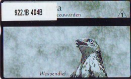 Telefoonkaart  LANDIS&GYR  NED * RCZ 922.02  404b * LACUS NATURA WESPENDIEF * VOGEL  BIRD OISEAU  TK * ONGEBRUIKT *  - Eagles & Birds Of Prey