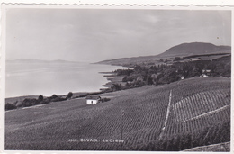 SUISSE,SCHWEIZ,SVIZZERA,HELVETIA,NEUCHATEL,BEVAIS, LA GREVE,lac ,vignoble,prés Boudry,cortaillard,gorgier,rare - Boudry