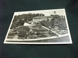 HOHENPARK KILLESBERG TAL DER ROSEN MIT HOHENCAFE SESSELBAHN UND AUSSICHTSTURM - Cafés