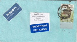 GOOD SOUTH AFRICA Postal Cover To ESTONIA 2016 - Good Stamped: Bird - Briefe U. Dokumente