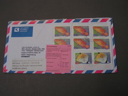 SA, Fischer 2006 To Germany - Airmail