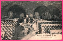 Pays Du Champagne - Maison De Venoge Et Cie - Entrée D'une Basse Cave - Fut - Bouteilles - Animée - Phot. Em. CHOQUE - Vignes