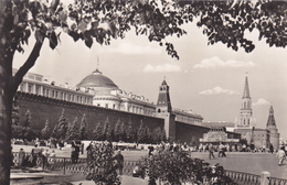 RUSSIE,moscou,moscow,moskva,MOCKBA,URSS,THE RED SQUARE,jardin,garden,gran De Place,la Place Rouge - Russie