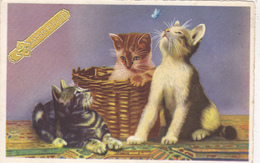 Carte De Luxe De Bonne Anniversaire,avec Chat,chaton,cat,multicolo R,édition MD,rare,logo En Relief - Geburtstag