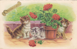 Carte De Luxe De Bonne Anniversaire,avec Chat,chaton,cat,pot De Fleurs,logo En Relief,édition MD PARIS RARE - Compleanni