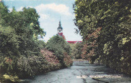 PAYS BAS,overijssel,almello,hollande,het  Kolkje  Gravenallee,paradis écologique,rare - Almelo