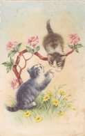 CARTE De Voeux,chat,chaton,cat ,perché Sur Une Branche,joueur,édition De Luxe MD,rare - Sonstige & Ohne Zuordnung