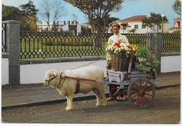 Portugal - Açores - S. Miguel - Carroça De Carneiro, Vendedor De Flores. - Açores