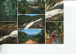 (90) Australia (with Stamp At Back Of Card) - QLD - Creb Trail - Far North Queensland