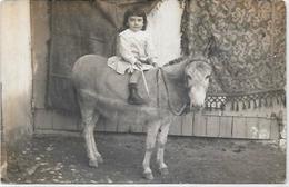 CPA Ane Anes Donkey écrite Carte Photo RPPC - Donkeys