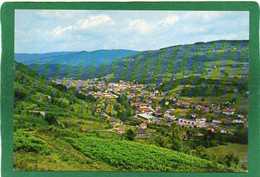 88 FRESSE SUR MOSELLE VUE GENERALE EN PREMIER PLAN LA HARDOYE CPM Année 1989 EDIT La Cigogne - Fresse Sur Moselle