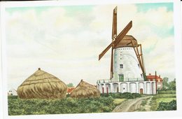 VURSTE-VURSTEN-WINDMOLEN-MOULIN A VENT - Gavere