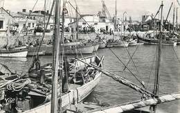 CROIX DE VIE - Vue Générale Du Port, Bateaux De Pêche. - Pêche