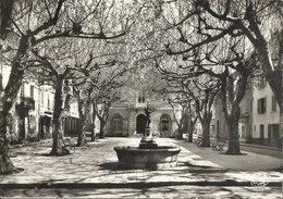 CPSM Collobrières Place De La Mairie Et Sa Fontaine - Collobrieres