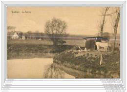 BELGIQUE - TUBIZE - La Senne - Tubize