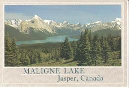 CP CANADA MALIGNE LAKE  JASPER NATIONAL PARK ALBERTA - Jasper