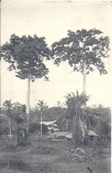 GABON - LAMBARENE - Missions évangéliques De Paris - Un Coin De La Station - Gabon