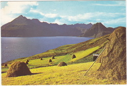 Isle Of Skye - The Cuillin Hills From Elgol - Hay Stacks - (Scotland) - Ross & Cromarty