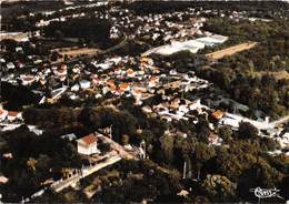 91-BUREE-SUR-YVETTE- VUE PANORAMIQUE ET QUARTIER DE LA HACQUINIERE - Bures Sur Yvette