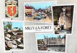 91-MILLY-LA-FORÊT- MULTIVUES - Milly La Foret