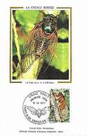 FRANCE Insectes, Insecte, Insect, Insects, Insectos, Insekten, Yvert 1946 Carte Maximum - Autres & Non Classés