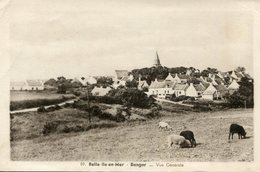 BELLE ILE EN  MER *** BELLE ISLE  *** LES MOUTONS *** - Belle Ile En Mer