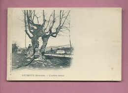 CPA - Lucheux   - (Somme) -  L'arbre Creux  -  ( Arbre  ,  Arbres ) - Lucheux