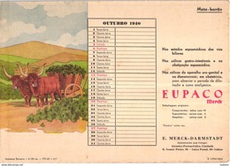 PORTUGAL MATA BORRAO BUVARD BLOTTER  20.8 X 14.7 CMS - 1940 MEDECINE ADVERTISING ( 2 SCANS ) - Verf & Lak