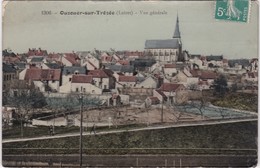 OUZOUER-sur-LOIRE - Vue Générale Colorisée - Carte-Photo - Ouzouer Sur Loire