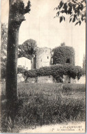 33 BLANQUEFORT - Le Vieux Château - Blanquefort