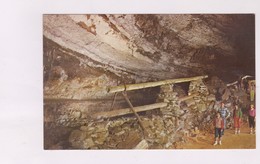 CPA MAMMOTH CAVE, SALTPETRE PIPES En 1977! - Mammoth Cave