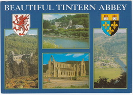 Tintern Abbey   - (Wales) - Monmouthshire