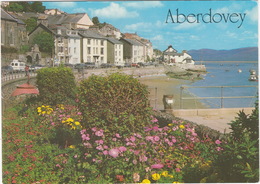 Aberdovey - The Promenade - (Wales) - Caernarvonshire