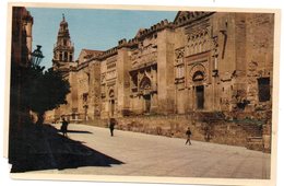 Delcampe - Tarjeta Postal  Cordoba. Mezquita. - Córdoba