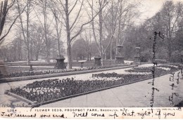 Flower Beds, Prospect Park, Brooklyn, New York, USA Posted 1906 - Brooklyn
