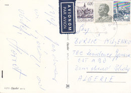 Yugoslavia Airmail Postcard Sent To Algeria , Rab 1976 - Airmail