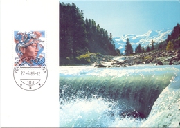 HELVETIA PROTECTION DE LA NATURE  EUROPA CEPT  MAXIMUM    (GIUGN180135) - 1986