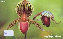 Télécarte  Japan Fleur ORCHID (3779)  Orchidée Orquídea Orchidee Flower - Fleurs