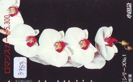 Carte  Japan Fleur ORCHID (3783)  Orchidée Orquídea Orchidee Flower - Fleurs