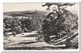 Nijverdal, Gezicht Over De Nijverdalseberg - Nijverdal