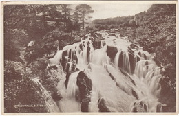 Swallow Falls, Bettws-y-Coed   -1946-   (Wales) - Caernarvonshire