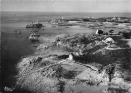 22-ILE-DE-BREHAT- VUE AERIENNE - Ile De Bréhat