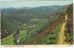 Coed Y Brenin From Precipice Walk  -  (Wales) - Caernarvonshire