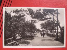 Kühlungsborn - Ostseebad Arendsee: Strand-Promenade - Kühlungsborn