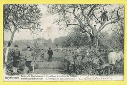 * Ruiselede - Ruysselede * école De Bienfaisance, Weldadigheids School, élèves Travaillant Au Potager, Enfants, Jardin - Ruiselede