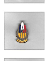 Pin's  Ville,  Sport  AVIRON, Championnat  De  France  1992  à  VICHY  ( 03 ) - Canottaggio