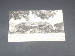 MONACO - Carte Postale - Entre Les Oliviers - L 19198 - Tarjetas Panorámicas