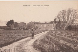 CPA 84   OPPEDE DOMAINE DES LONES - Oppede Le Vieux