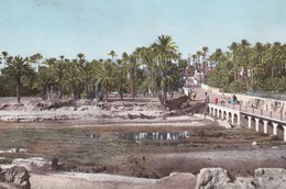 CPSM 9X14 . ALGERIE . COLOMB - BECHAR .La Palmeraie De L'Oued Et Le Pont Misaroli - Bechar (Colomb Béchar)